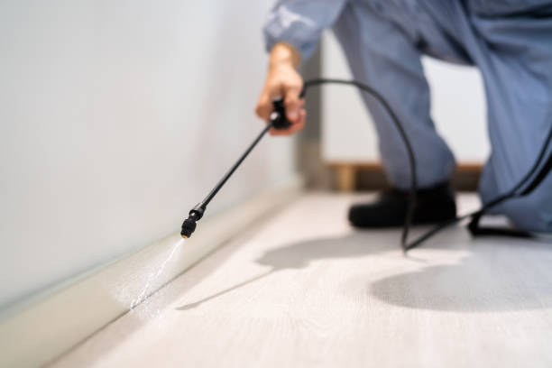 Licensed Fumigation Services service in Montclair, VA - Nex Pest Control