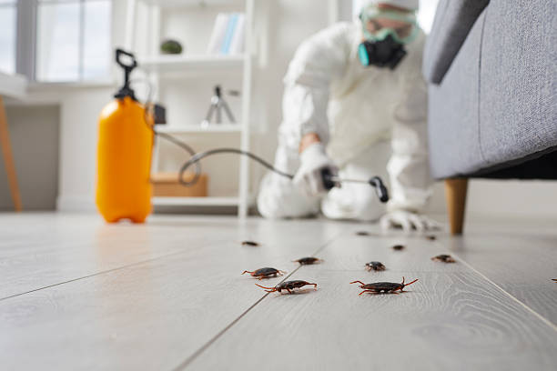 Affordable Fumigation Services solutions in Montclair, VA