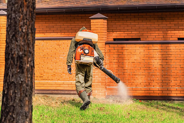 Top rated local Fumigation Services specialists in Montclair, VA